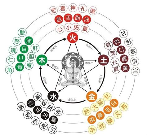 餓木命人|木命和什麼命人最配 餓木命人是什麼意思